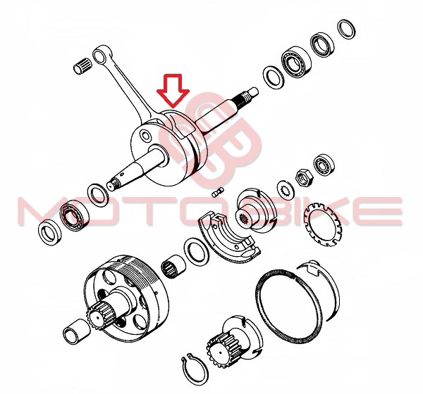 Radilica tomos a35 a5 fi 12 mm