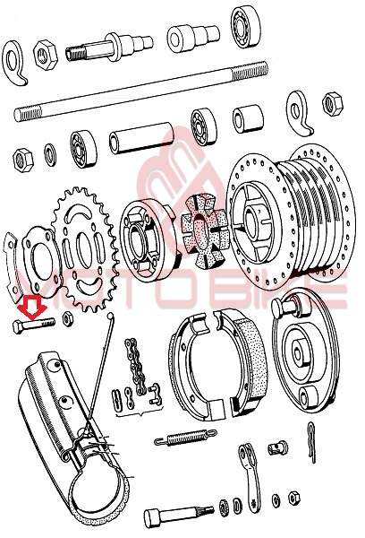 Sraf zadnjeg lancanika tomos apn m7x30 mm